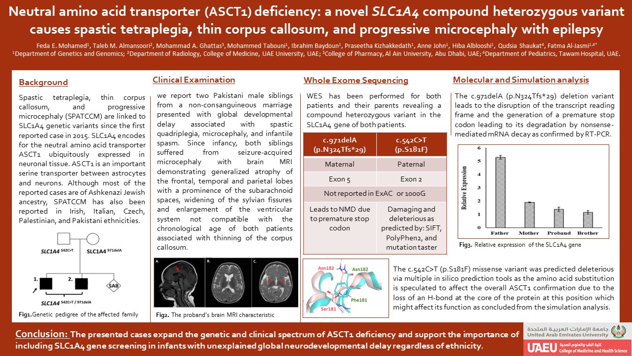 Neutral amino acid transporter (ASCT1) deficiency: a novel SLC1A4 compound heterozygous variant causes spastic tetraplegia, thin corpus callosum, and progressive microcephaly with epilepsy 